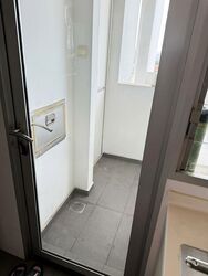 The Parc Condominium (D5), Condominium #502313611